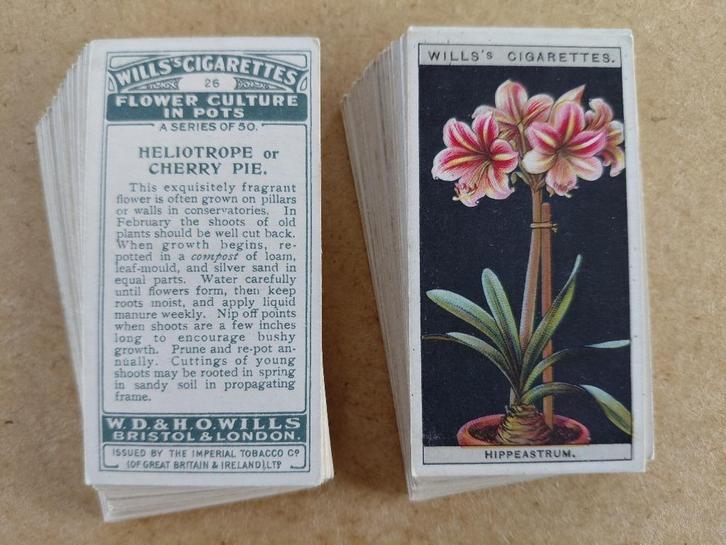 Flower Culture in Pots complete set 50 chromos bloemen 1925, Verzamelen, Foto's en Prenten, Prent, Natuur, Voor 1940, Ophalen of Verzenden