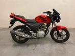 Honda CBF 125 2011 5900km!, Motoren, Motoren | Honda, Particulier