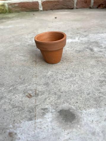 mini terracotta potjes beschikbaar voor biedingen