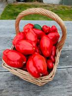 Bio-tomaten/ aubergines, Ophalen