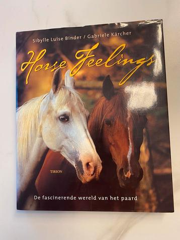 S.L. Binder - Horse Feelings beschikbaar voor biedingen