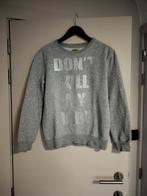 Leuke sweater, Kleding | Dames, Ophalen of Verzenden, Zo goed als nieuw, Maat 34 (XS) of kleiner