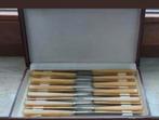 DOOS MET 12 MESSEN, Ophalen of Verzenden, Nieuw, Inox of Chroom, Bestekset
