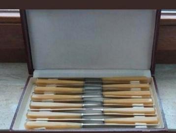 COFFRET DE 12 COUTEAUX, Enlèvement ou Envoi, Neuf, Inox ou Chrome, Ensemble de couverts