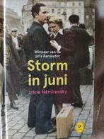 Storm in juni - zakformaat, Boeken, Ophalen of Verzenden, Zo goed als nieuw