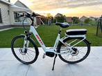 E-bike Continental, Fietsen en Brommers, Ophalen, Zo goed als nieuw, Giant