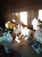 Collection de chats, Enlèvement