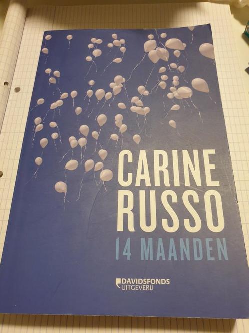 Carine Russo/Lejeune - 14 maanden +1 Julie & Melissa Dutroux, Boeken, Politiek en Maatschappij, Zo goed als nieuw, Ophalen of Verzenden