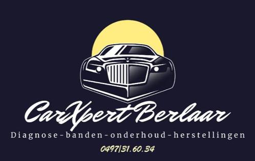 Diagnose auto - specialisatie JLR - ook caravans/aanhangers, Diensten en Vakmensen, Auto en Motor | Monteurs en Garages