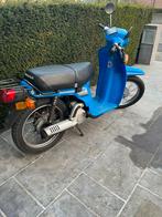 Prachtige honda scoopy a klasse, Fietsen en Brommers, Ophalen, Zo goed als nieuw