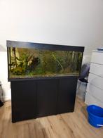 Juwel rio 240, Dieren en Toebehoren, Ophalen