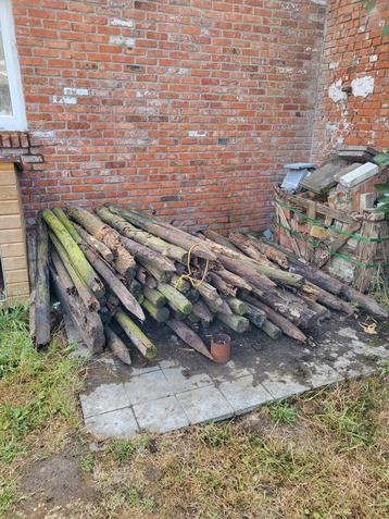 Brandhout/ Palen te koop beschikbaar voor biedingen