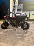 Dax 50 cc B klasse alle papieren aanwezig!, Ophalen