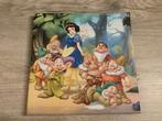 Disney Sneeuwwitje canvas (25x25 cm), Verzamelen, Ophalen of Verzenden, Sneeuwwitje of Doornroosje, Zo goed als nieuw, Plaatje of Poster