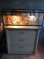 Terrarium, Enlèvement