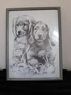 Tekening honden, Ophalen