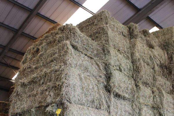 Hooi, Dieren en Toebehoren, Dierenvoeding, Ophalen