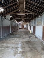 Winterstal voor paarden, Dieren en Toebehoren, Stalling en Weidegang, Weidegang