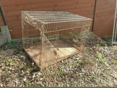 20% sur prix affiché Cages transport animaux pliable, Dieren en Toebehoren, Transportboxen, Gebruikt, Ophalen