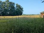 Prairie à louer entité de Celles (7760)