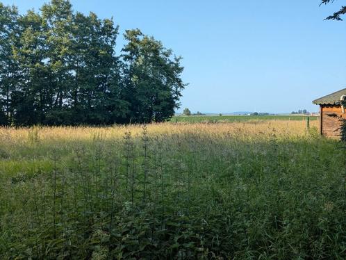 Prairie à louer entité de Celles (7760), Dieren en Toebehoren, Stalling en Weidegang