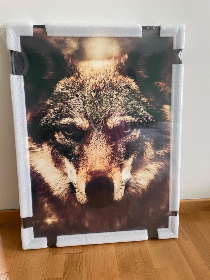 Moderne ingelijste afbeelding, glas in aluminum kader, Antiek en Kunst, Kunst | Schilderijen | Modern, Ophalen