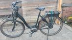 Riese & Müller Blue Label, Fietsen en Brommers, Elektrische fietsen, Ophalen, Gebruikt, Riese & Müller