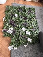 Ikea Fejka plante artificiel murale interieur / exterieur, Enlèvement, Comme neuf