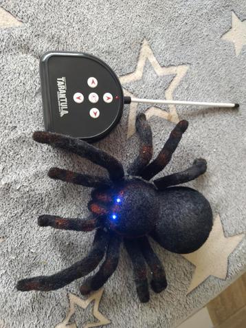 Tarantula met beweging en licht beschikbaar voor biedingen