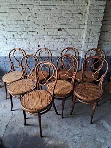 6 ou 8 chaises originales Thonet N20.