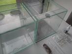 Toebehoren Mieren Houden, Dieren en Toebehoren, Insecten en Spinnen, Mieren
