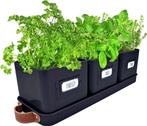 kruidenpotten GRATIS LEVERING, Overige materialen, Verzenden, Vierkant, Binnen
