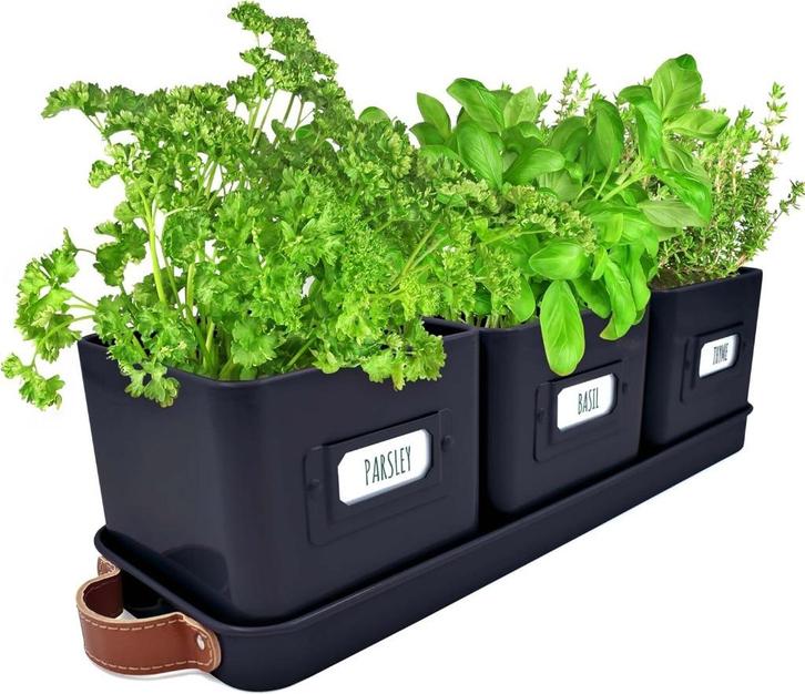 kruidenpotten GRATIS LEVERING, Tuin en Terras, Bloempotten, Nieuw, Overige materialen, Binnen, Minder dan 40 cm, Minder dan 25 cm
