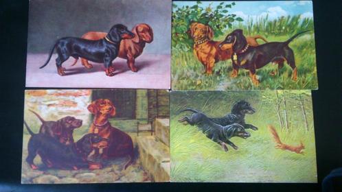 Teckel hond ansichtkaarten, Verzamelen, Postkaarten | Dieren, Ongelopen, Voor 1920, Hond of Kat, Verzenden