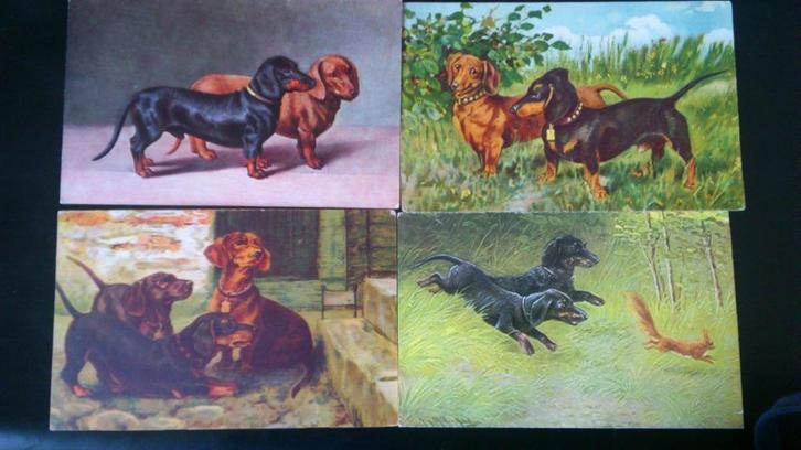 Cartes postales chiens teckels, Collections, Cartes postales | Animaux, Non affranchie, Avant 1920, Chien ou Chat, Envoi