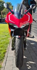 Panigale 899, Motoren, Particulier