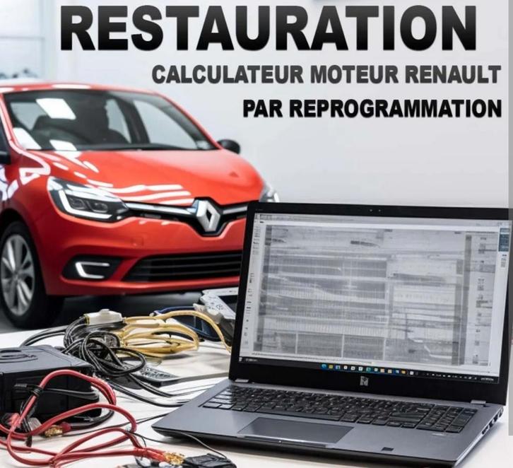 (FAP/DPF) Diag du Filtre à Particules, Auto diversen, Handleidingen en Instructieboekjes, Ophalen of Verzenden
