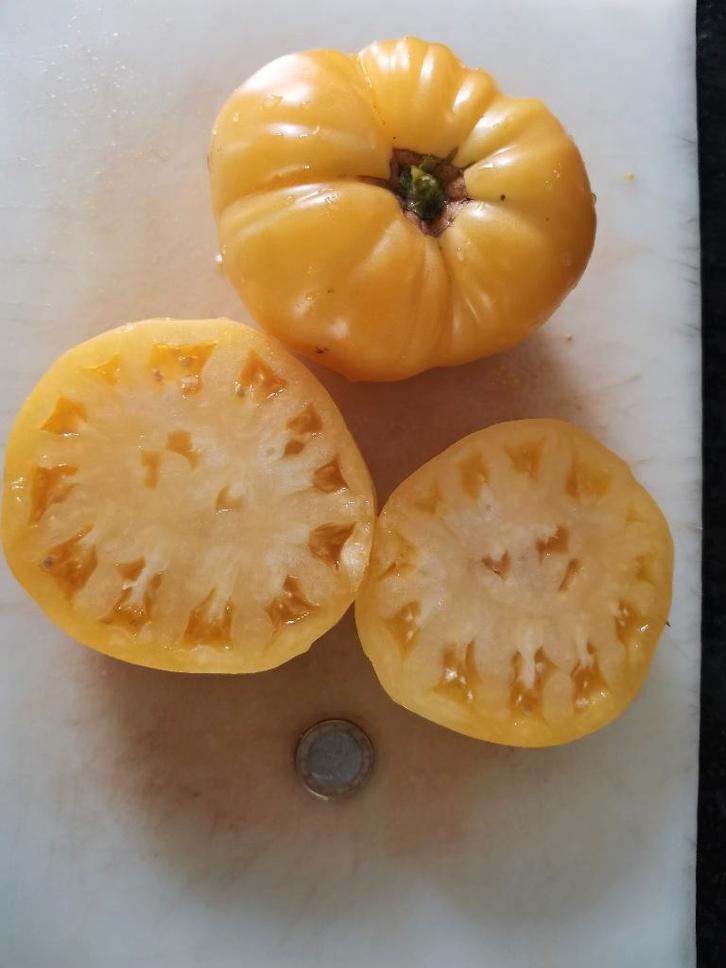 Coeur de boeuf tomaat Lemon Oxheart - 5 zaden, Tuin en Terras, Bloembollen en Zaden, Zaad, Voorjaar, Volle zon, Verzenden