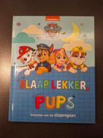 Paw Patrol - Slaap lekker, pups, Enlèvement