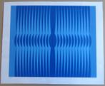 DORDEVIC MIODRAG / BLAUWE COMPOSITIE / KLEURZEEFDRUK 57x70cm, Antiek en Kunst, Ophalen of Verzenden