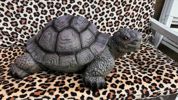 Groot schildpadbeeld – stevige tuindecoratie, Boeken, Kunst en Cultuur | Beeldend, Zo goed als nieuw, Ophalen