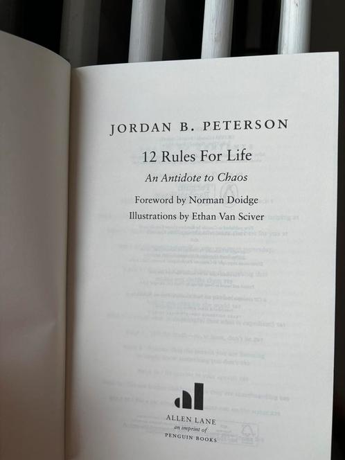 Boek: 12 Rules for life – Jordan B. Peterson, Boeken, Psychologie, Ophalen of Verzenden