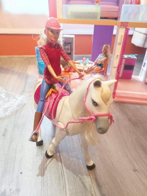 Barbie dreamhorse, Kinderen en Baby's, Speelgoed | Poppen, Gebruikt, Barbie, Ophalen of Verzenden