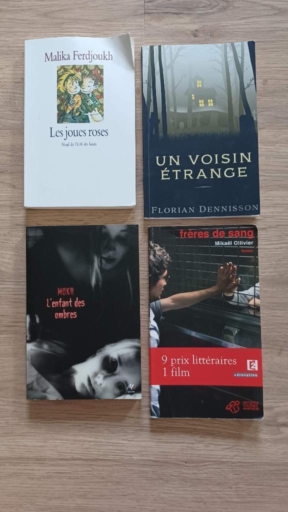 Romans jeunesse pour l'école, Ophalen of Verzenden, Gelezen