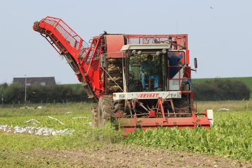 Bietenrooier 12 tons Vervaet, Zakelijke goederen, Landbouw | Werktuigen, Akkerbouw, Oogstmachine, Ophalen