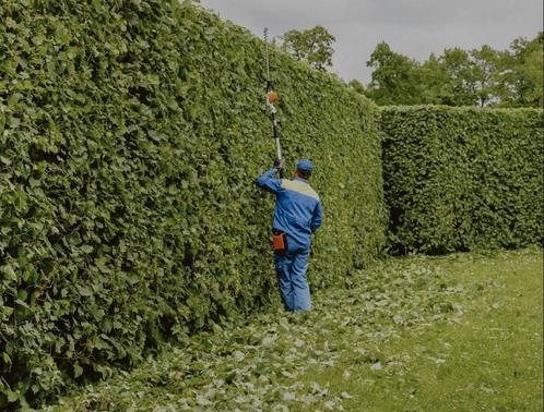 Haag snoeien, Vacatures, Vacatures | Bouwnijverheid