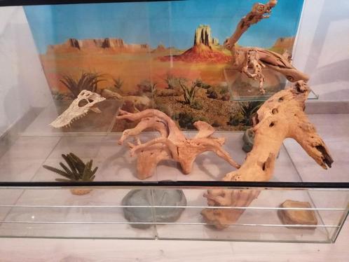 Terrarium, Dieren en Toebehoren, Reptielen en Amfibieën | Toebehoren, Gebruikt, Terrarium of Paludarium, Ophalen