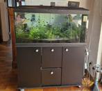 Ferplast aquarium cayman 110 professioneel zwart, Dieren en Toebehoren, Vissen | Aquaria en Toebehoren, Ophalen, Gebruikt, Gevuld zoetwateraquarium