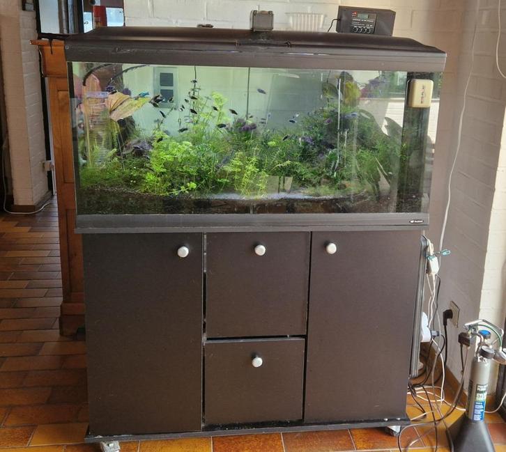 Ferplast aquarium cayman 110 professioneel zwart, Dieren en Toebehoren, Vissen | Aquaria en Toebehoren, Gebruikt, Gevuld zoetwateraquarium