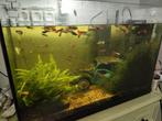 Aquarium, Ophalen